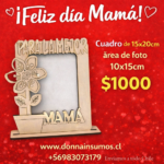 Cuadro de flor pintable 
10 unidades