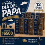 Cajas de vino 12 unidades surtidas