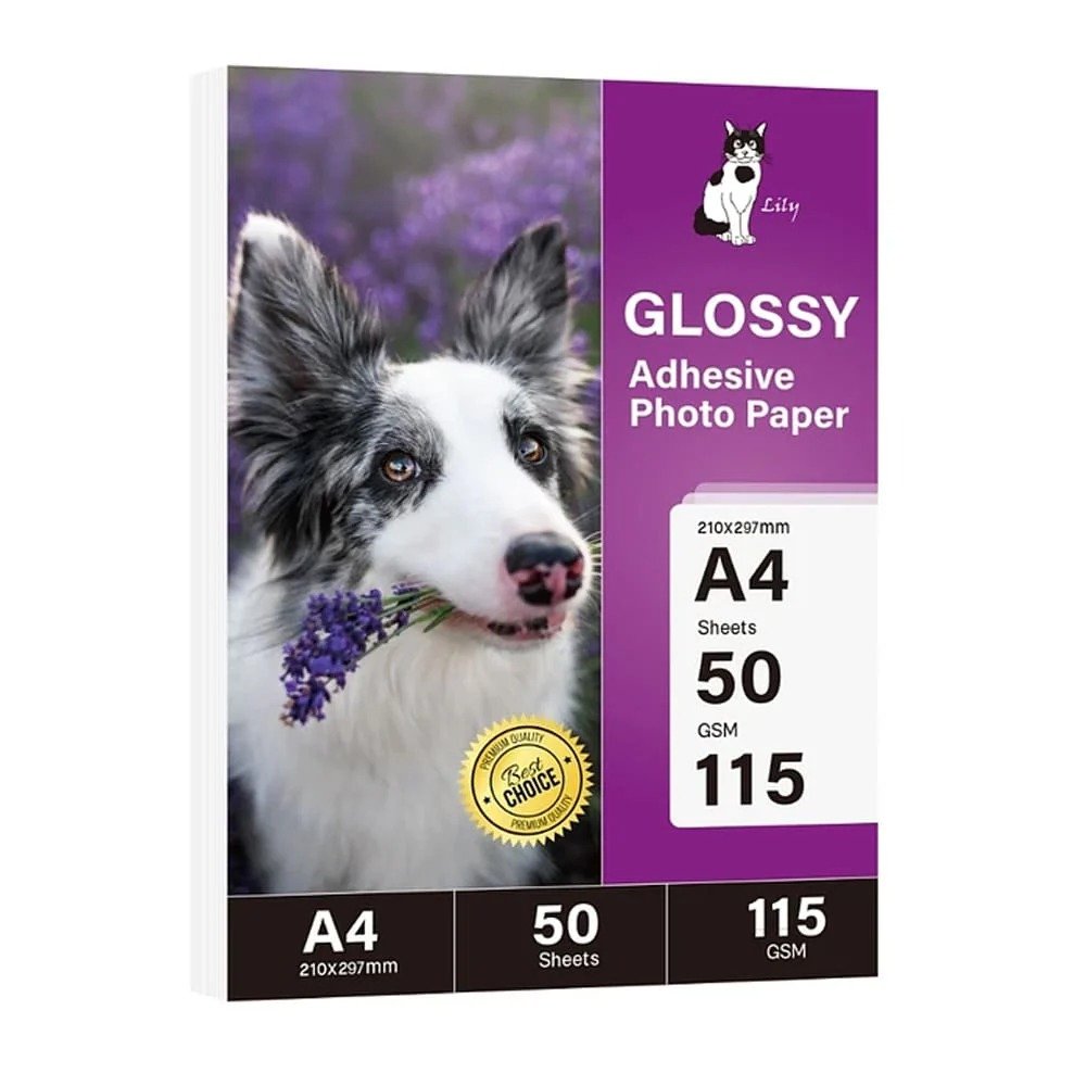 2026/01/1000555777.jpg Papel Fotográfico adhesivo glossy 115gr a4 marca Lily con antioxido - Imagen 1