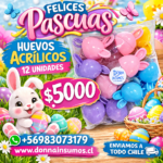 Huevos de acrilico surtidos 
12 unidades