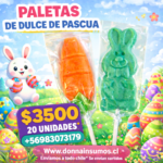 Paletas surtidas 
20 unidades