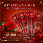 Decorativo de corazón 
12 unidades