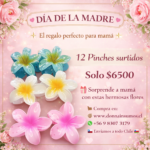 Pinches  grandes kawuai 
12 unidades surtidas