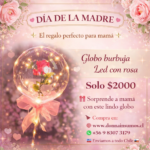 Globo burbuja con luz 
y rosa