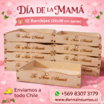 Bandejas dia de la mamá