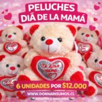 Oso te amo mamá N2
6 unidades