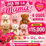 Osos de 30cm surtidos 
6  unidades