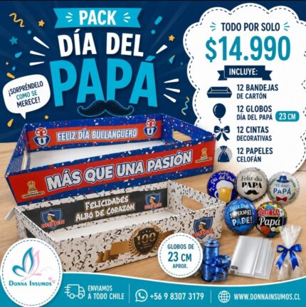 Pack Bandejas de equipo 
12 unidades surtidas