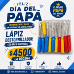 lapiz destornillador 
12 unidades surtidas