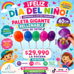 Paletas de 40cm 
12 unidades