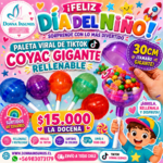 Paletas coyac 30cm 
12 unidades