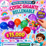 Paletas coyac 30cm 
12 unidades