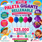 Paletas de 40cm 12 unidades