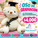 Oso de graduación grande
